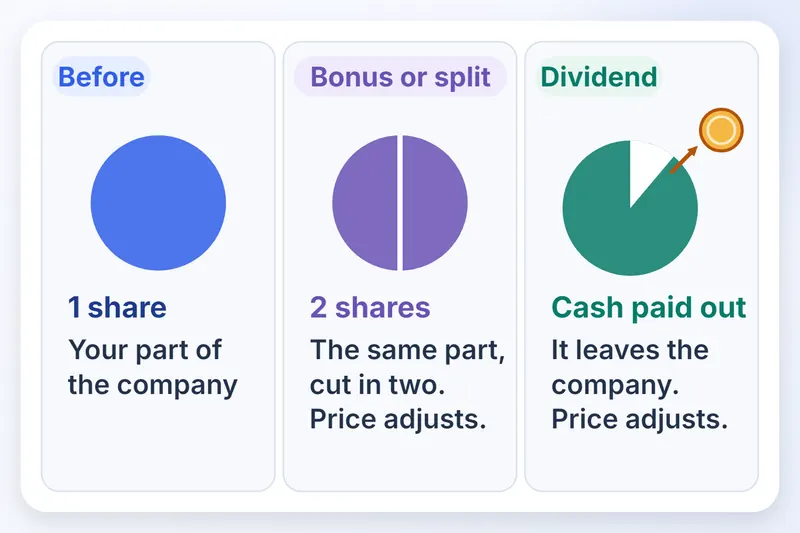 A circle for 1 share, the same circle cut into 2 shares, and a dividend coin leaving the circle.